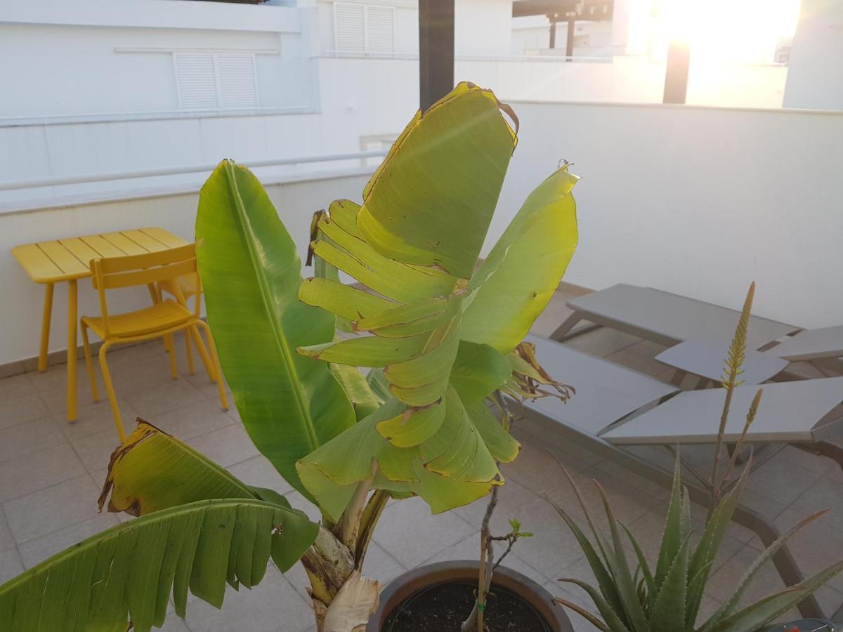 Penthouse Puro Apartment Кабанас де Тавира Екстериор снимка
